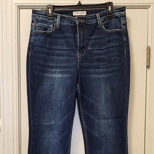 Flying Monkey Jade Vervet Flare Jeans